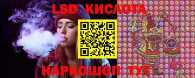 кокс Дмитров