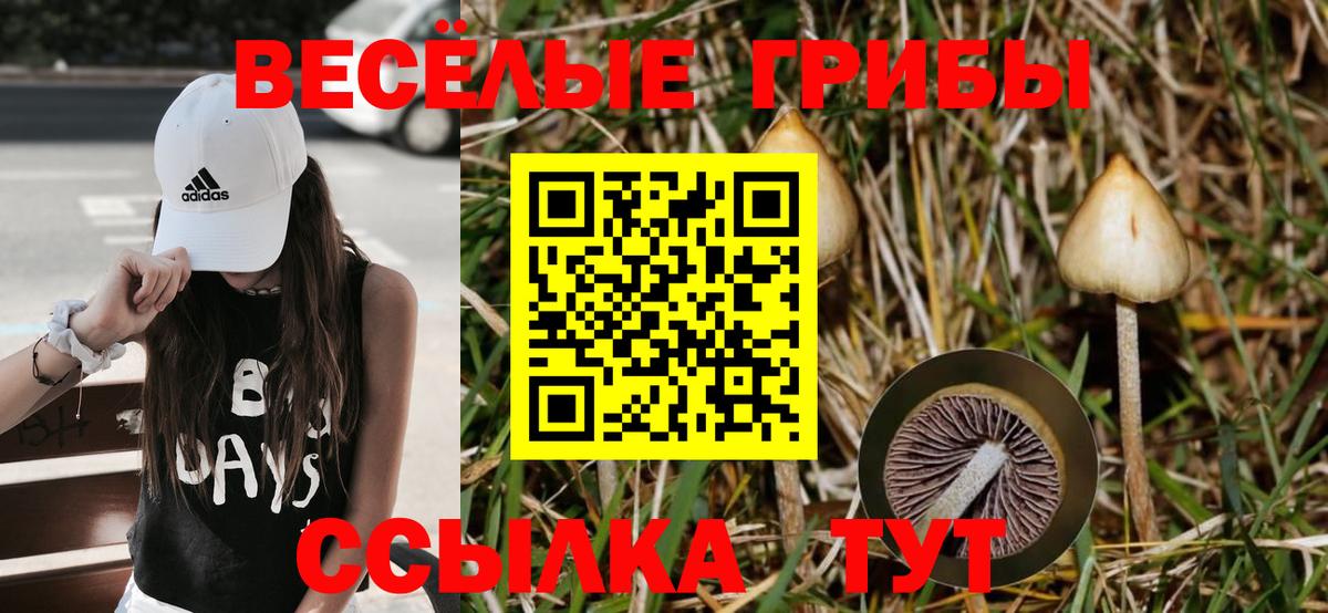 Галлюциногенные грибы прущие грибы  Вход с VPN  Псилоцибиновые грибы прущие грибы  Выкса 